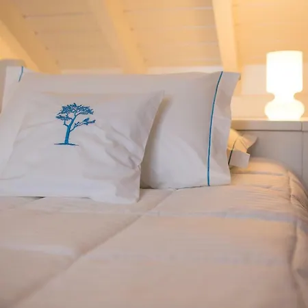 Country house T2 Lux Casa Pereiras Calheta de Nesquim